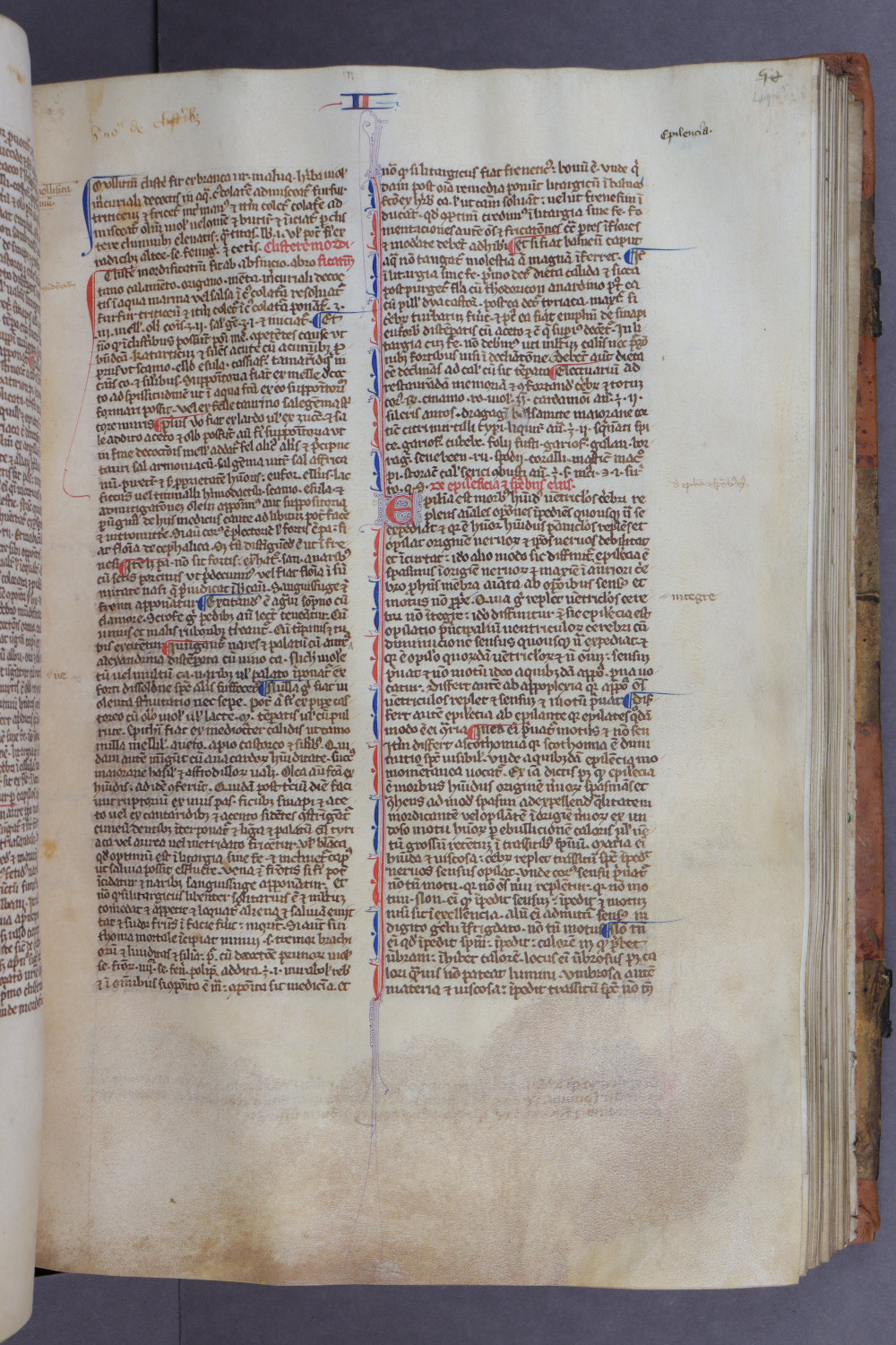 Folio 49 recto